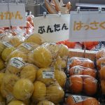 2017年2月四国上半分ぐるっと!父母三人温泉旅 その壱(高松空港編)
