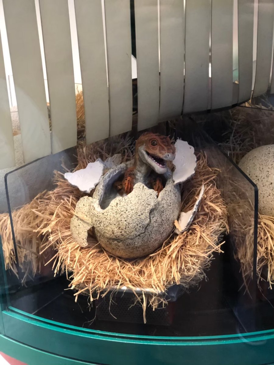 ユニバーサルオーランド：ディスカバリーセンターで孵化した恐竜の卵